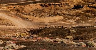 冰雪联动炸场！11.21“洛水听雪”服预约福利堆到溢屏